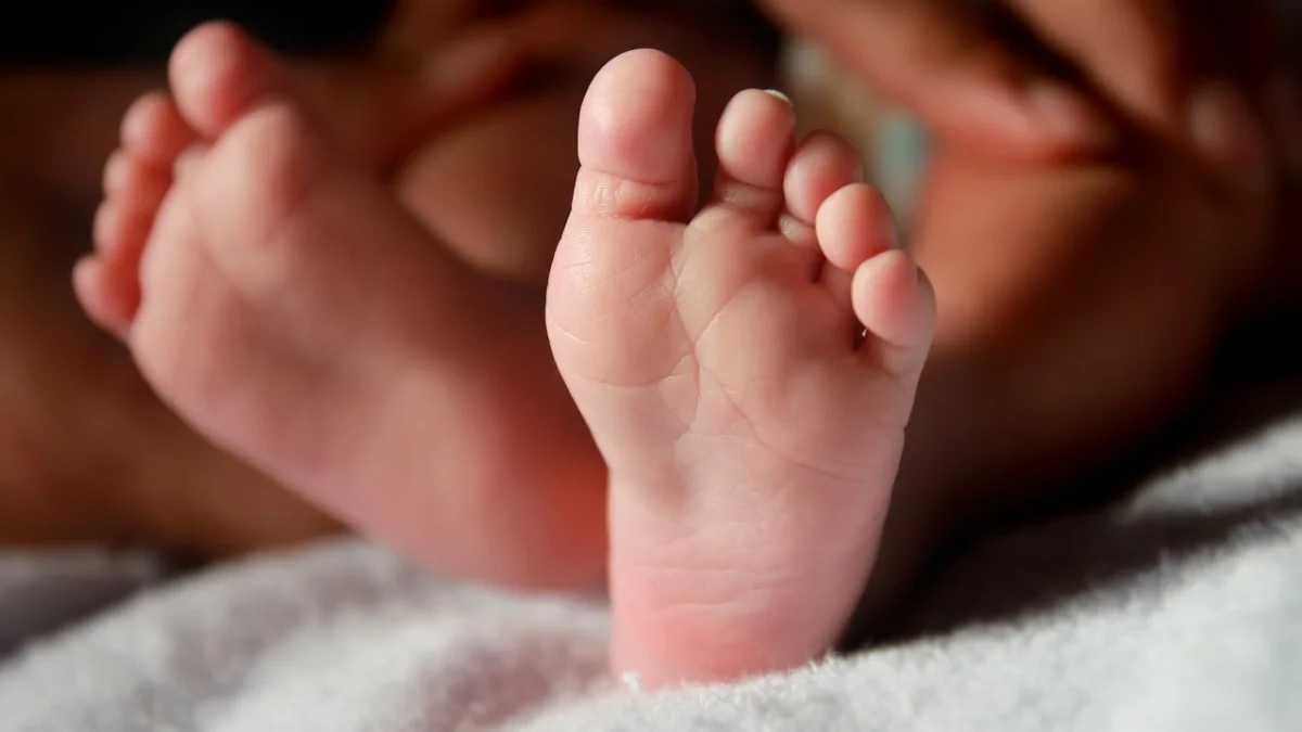 Bebés en el útero tienen músculos como lagartijas
