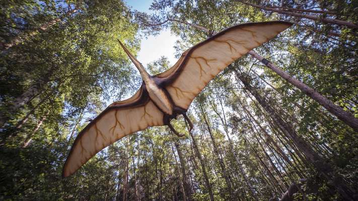Nuevo pterosaurio «dragón de hierro» 