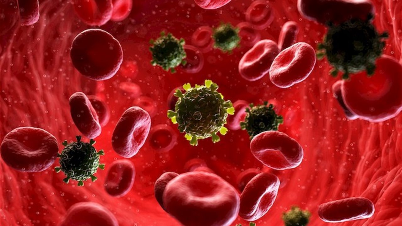 Virus del VIH ven el torrente sangíneo