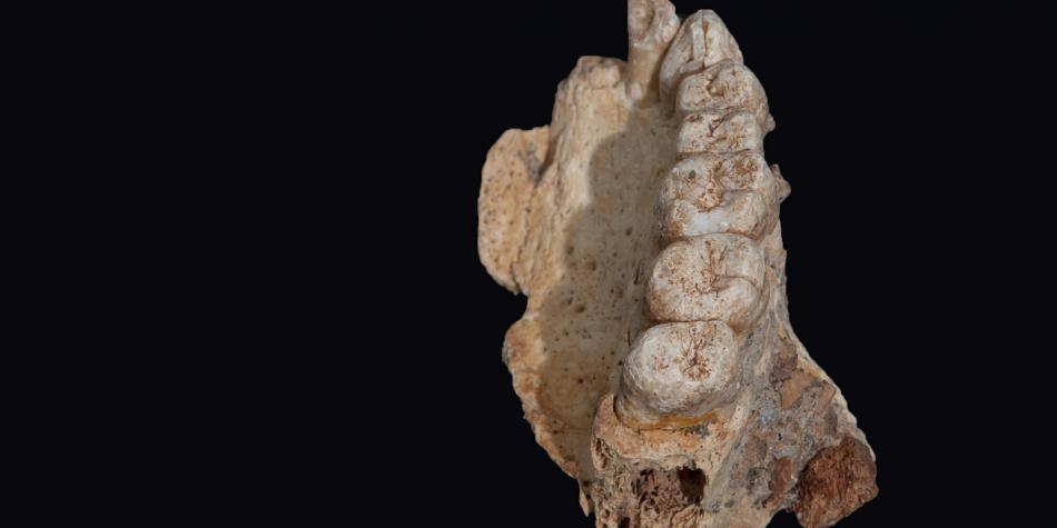 los restos humanos más antiguos