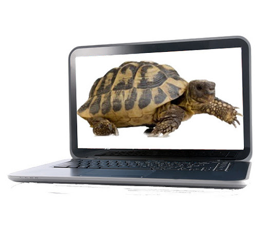 Computadora con imagen de tortuga