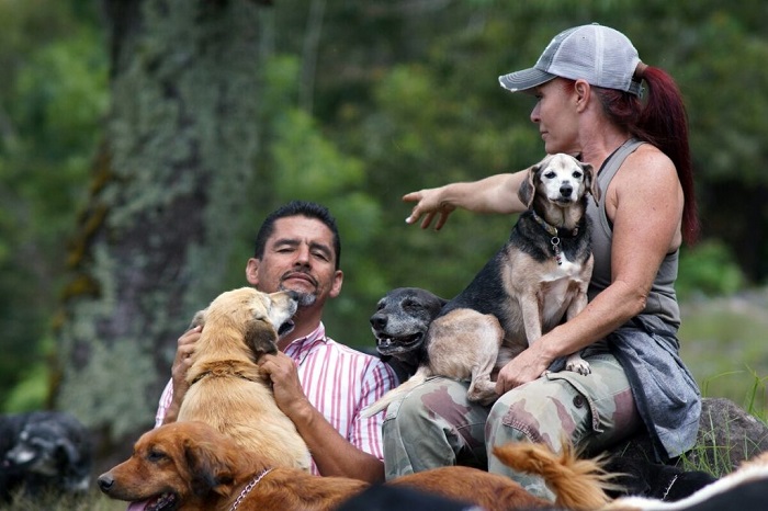 Dos personas en el campo con varios perros