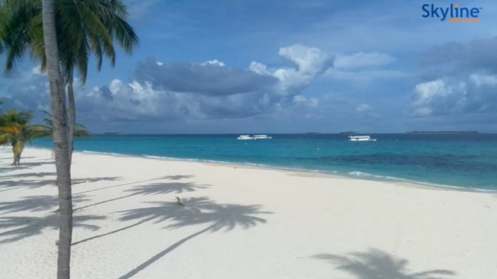 Playa maldiva de color azul ,arenas blancas con palmeras sembradas en ella