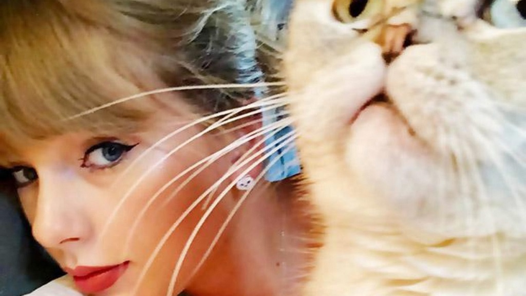 Taylor Swift, con un gato