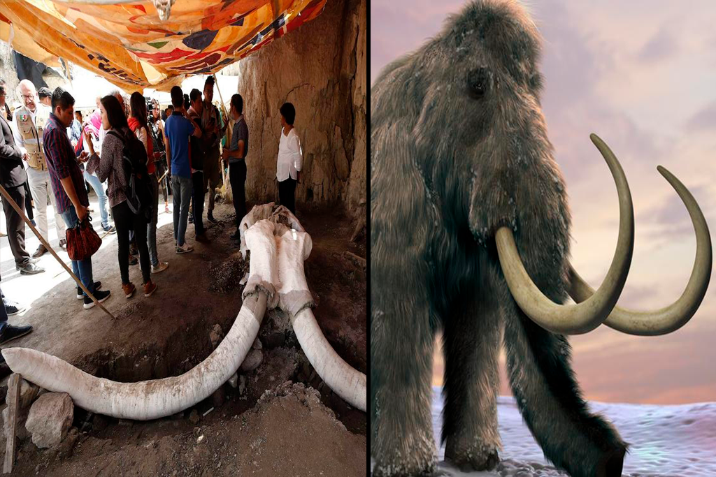 Yacimiento de mamuts