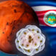 Descubren microbios en Costa Rica similares a los de Marte