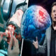 Elon Musk ensayará en humanos tecnología para implantar chips en el cerebro