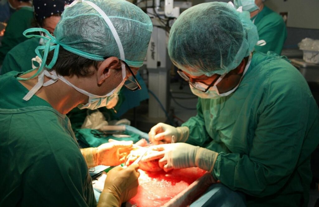 primer trasplante de órganos