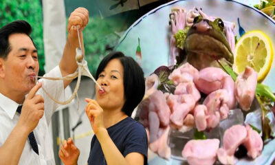 Ikizukuri el arte de cocinar animales vivos