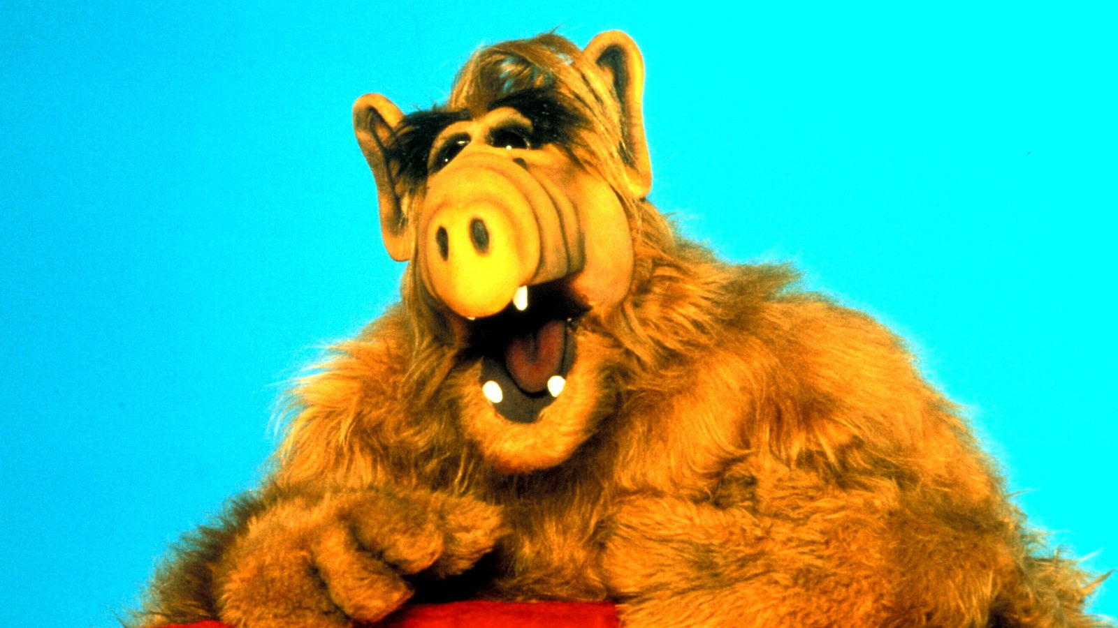 Alf |:  10 personajes de televisión olvidados de los años 80 |  Brainbury