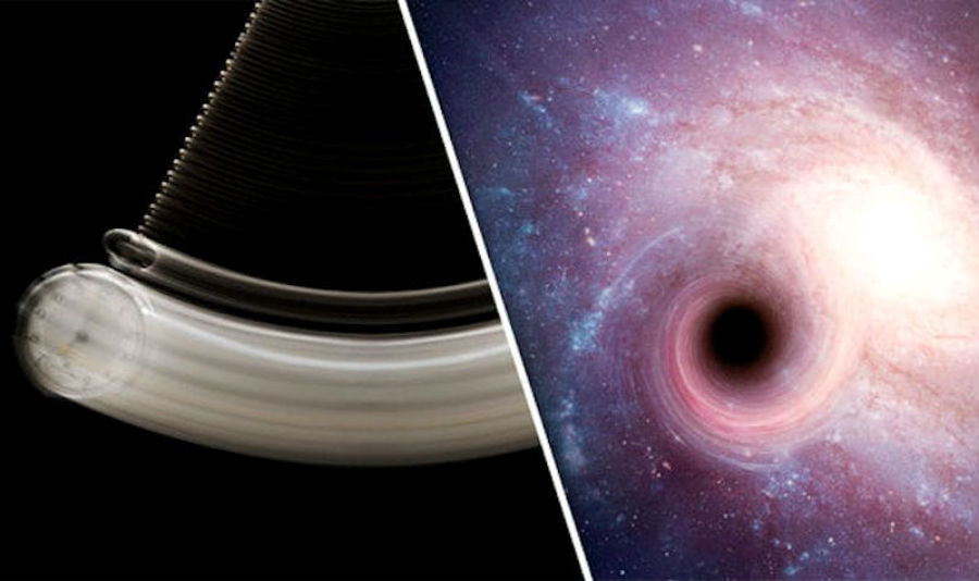 ¿Qué hay dentro de un agujero negro?  |:  bayas de cerebro
